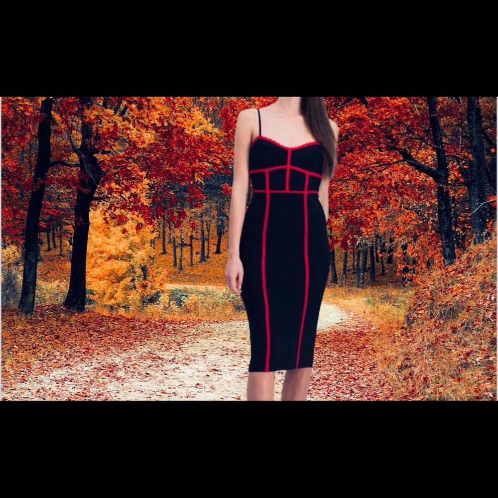 BCBG maxazria date bodycon sexy dress black red small used for one day